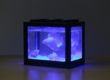 Hot sales Mini fish tank